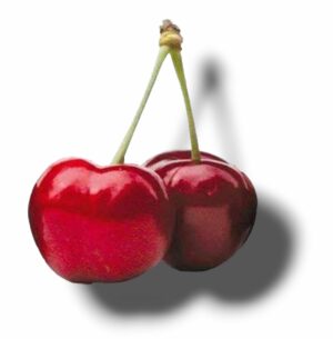 CERISE GROS CALIBRE