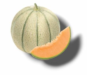 MELON DE BINAS (41) CALIBRE TRES GROS