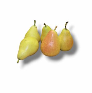POIRE GUYOT
