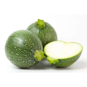 COURGETTE RONDE DU LOIRET