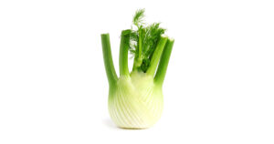 FENOUIL