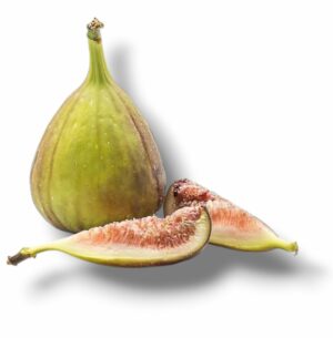 FIGUE VERTE