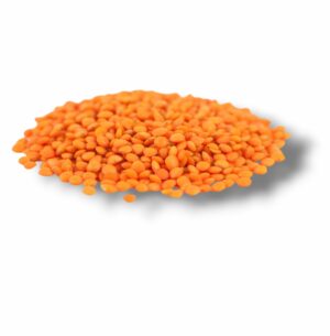 LENTILLE CORAIL