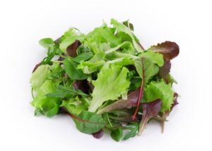 MESCLUN JEUNE POUSSE