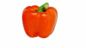 POIVRON ORANGE DU LOIRET