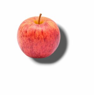 POMME GALA GROS CALIBRE