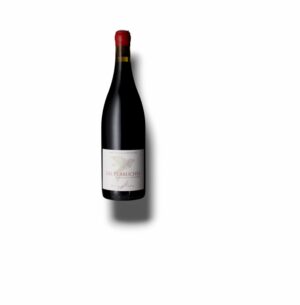 SAINT NICOLAS DE BOURGUEIL ROUGE "LES PERRUCHES" 2024 75 CL