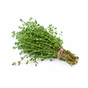 THYM FRAIS BOTTE