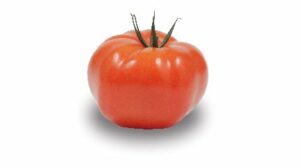 TOMATE RONDE CHARNUE A FARCIR DU LOIRET