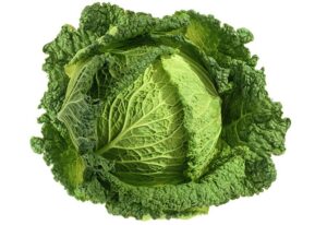 CHOU VERT