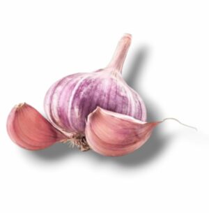 AIL VIOLET