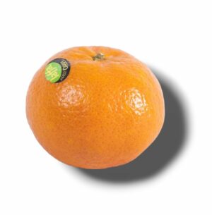MANDARINE ORRI GROS CALIBRE