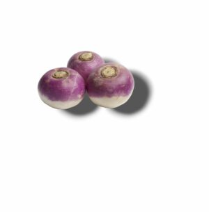 NAVET VIOLET
