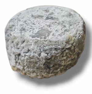 ROND DE CHEVRE BERRICHON AFFINE SELECTION JACQUIN ET FILS