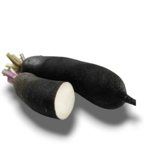 RADIS NOIR